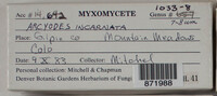 Image Associated With the Occurence
